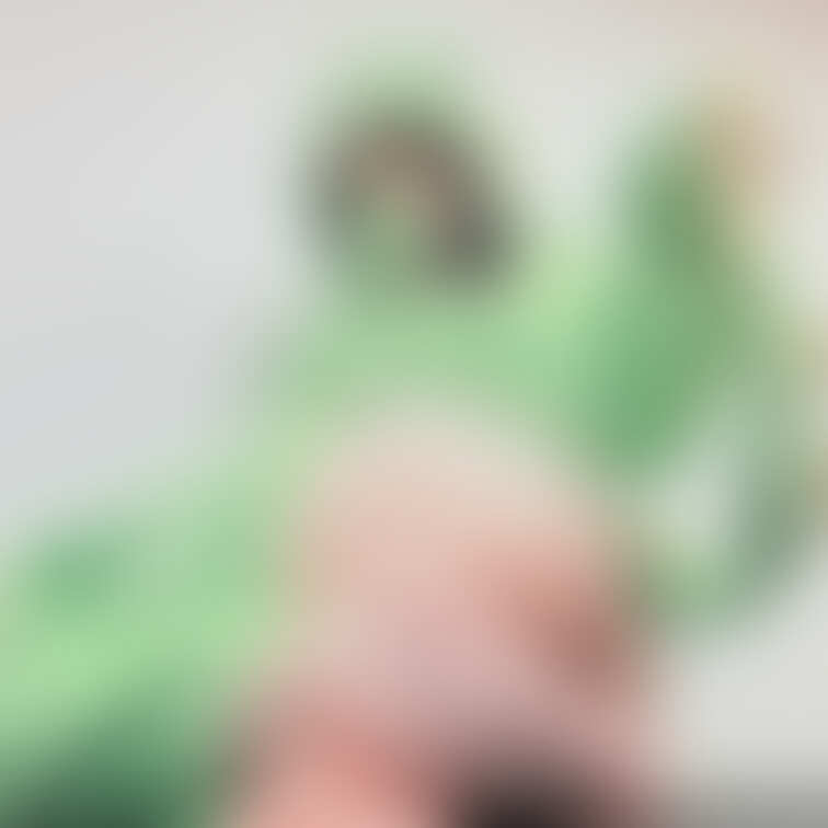 辰年ということで…辰のコスプレ🐲