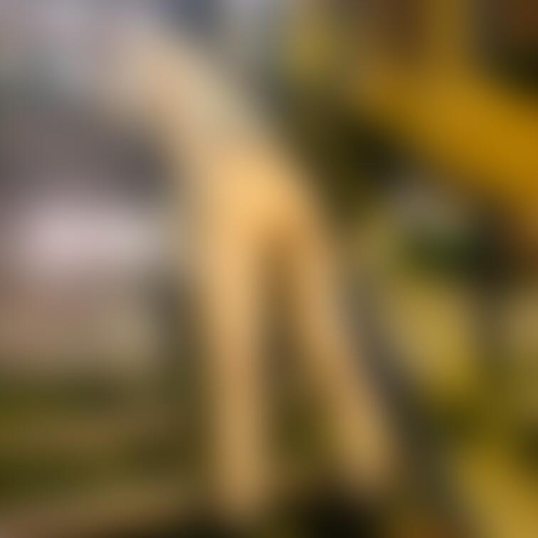 公園で軽く