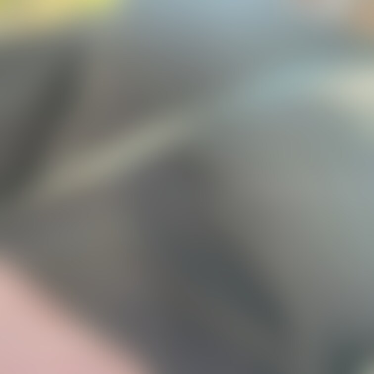 みんな大好きパイスラまたまた😝