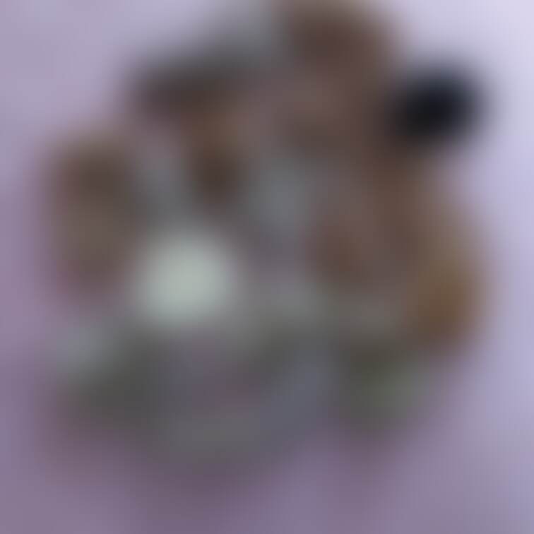 パンスト捨てるのもったいないな…