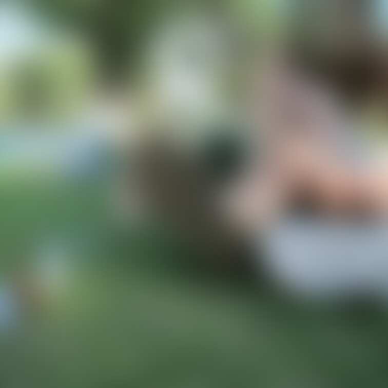 【Twitter無料プレゼント写真です】
『本当に爪も汚いですよ?』ギャル形女子大学生の手入れされてないサンダル脱