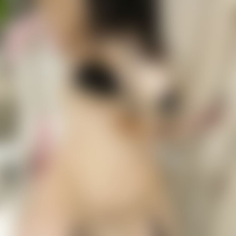 おっきなおっぱいのトナカイは〜♬🦌