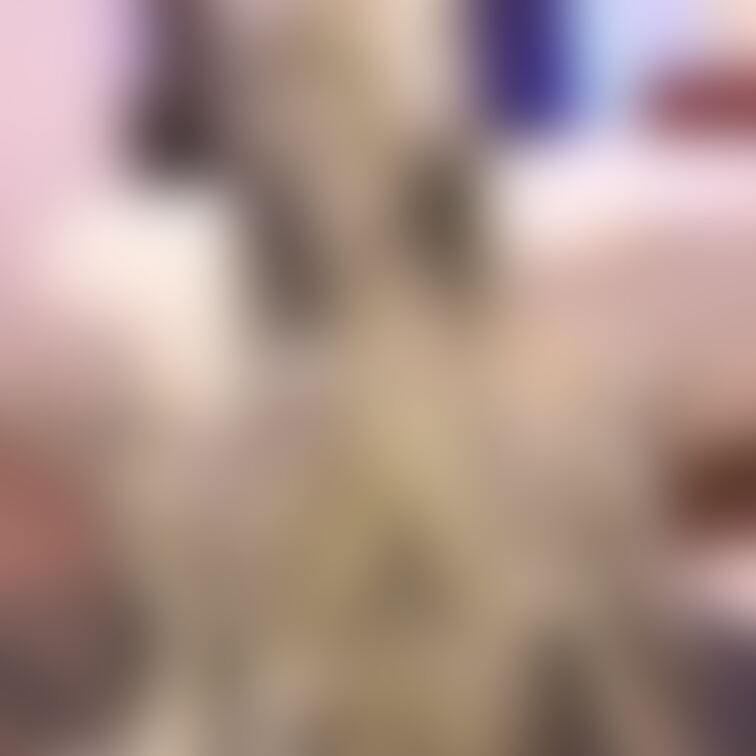 【美少女銀粉モデル】
 スレンダーのアイドル級モデルが銀粉まみれになってくれました！
 最初は髪を銀色にするのも嫌が