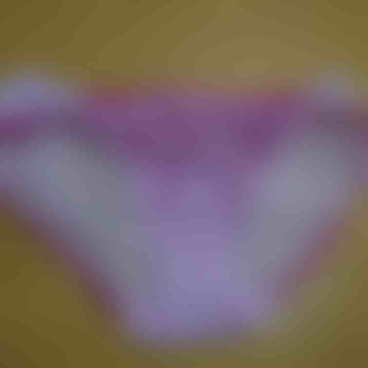 ぱんちぃーだけ(´・ω・`)
