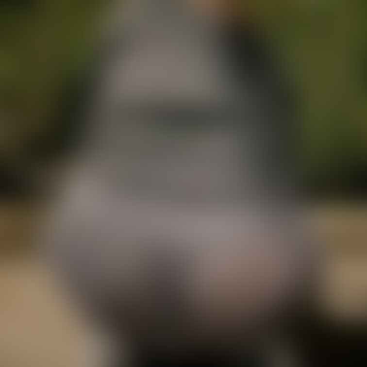 ウォーキングにいきました　知らない人に見られてしまいました（笑）