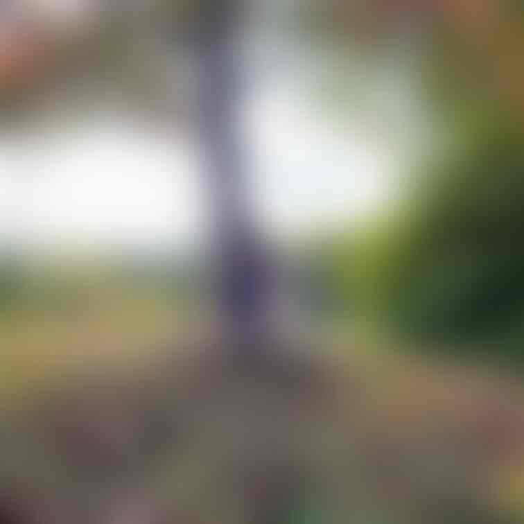 過去の削除写真の再投稿です。（2023年1 月投稿）
お城シリーズ第2弾‼️③