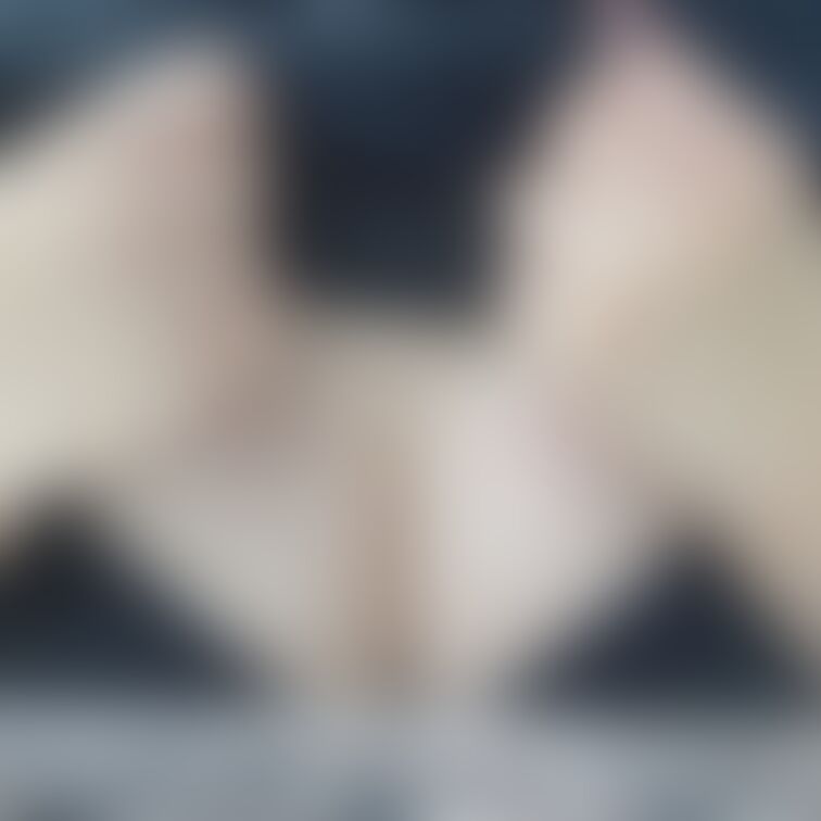 仕事中にデスクでおさぼりぷち露出