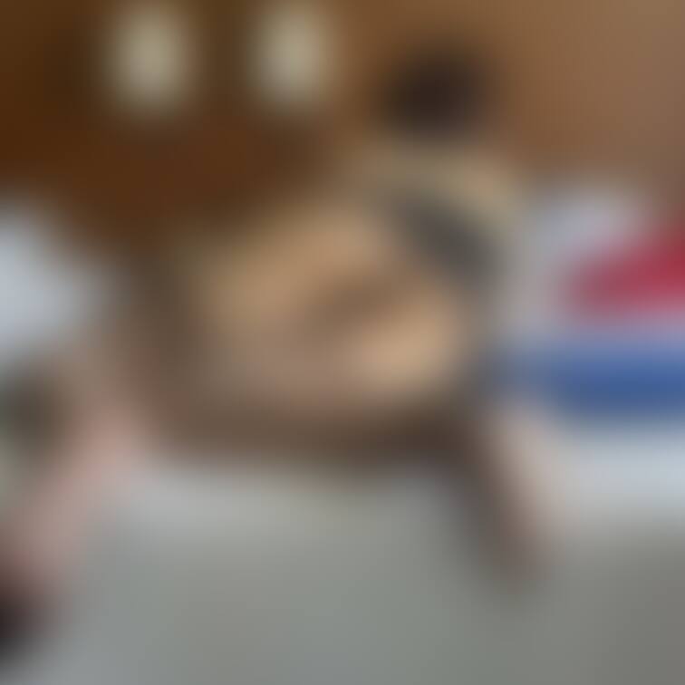 毎日、、暑過ぎですよねぇ、、、