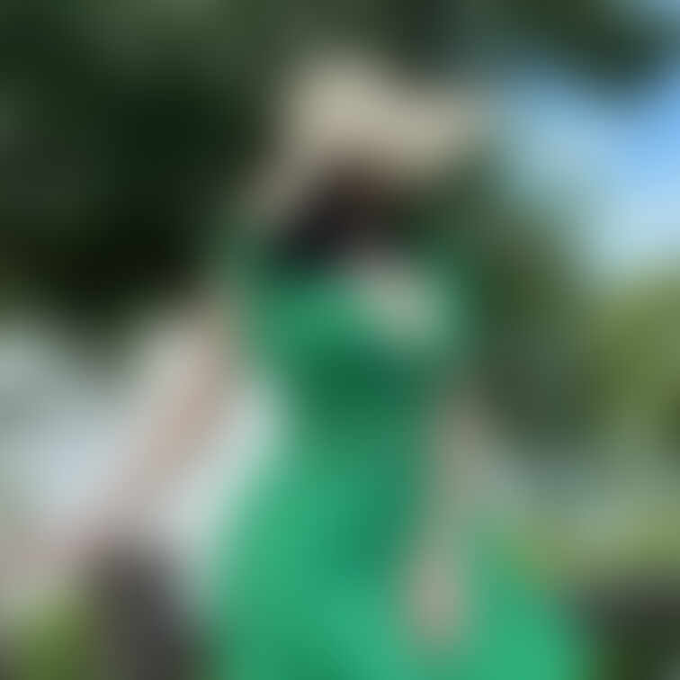 green🌿.∘