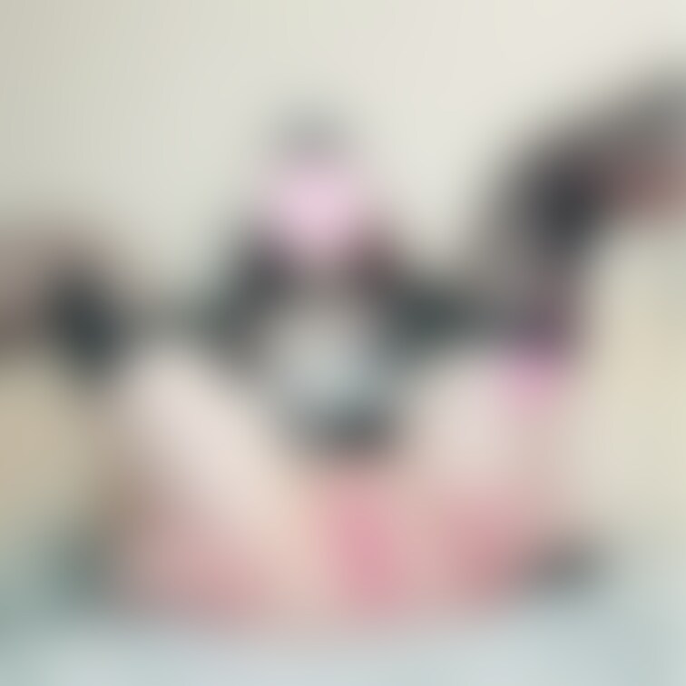 メイド