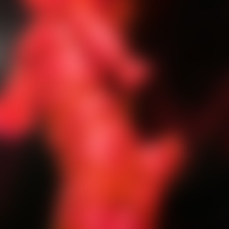 リベンジ予定その1
