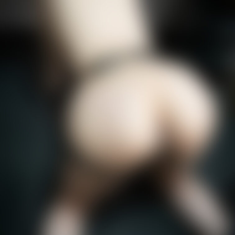 写真　黒いハーネスをつけて