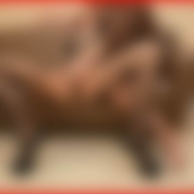 妻と彼氏の卑猥で濃厚なNTRカラミ画像
3943×2612　pixel

ちょっと思い切って・・・
モザかけてな