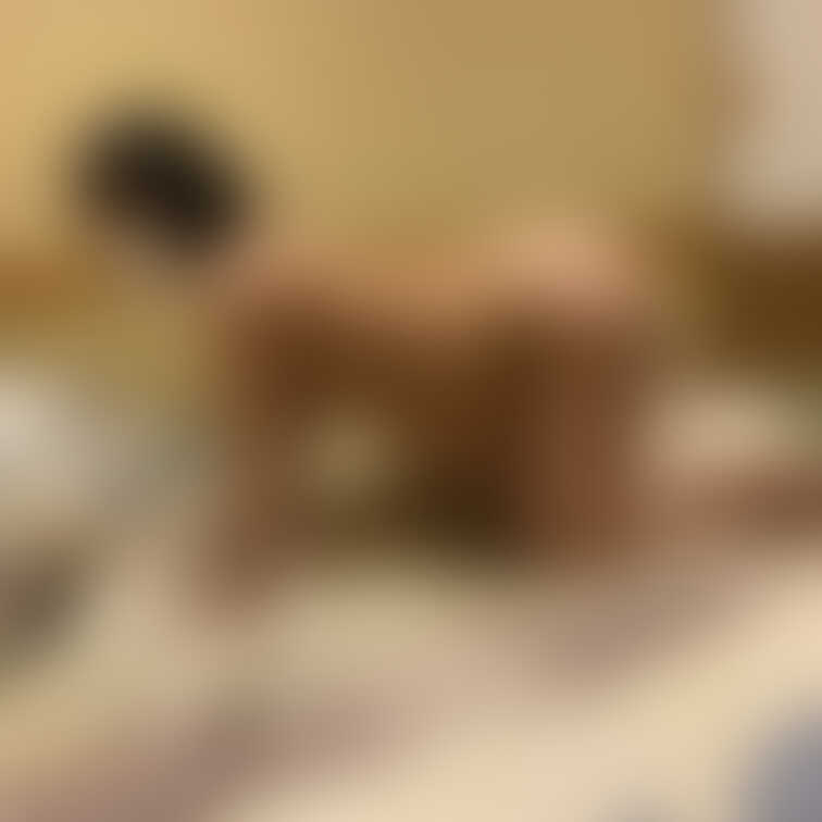 ○○○アイドル国宝妊婦かれんちゃん（臨月）