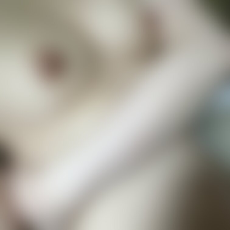 おっぱいは好きですか??