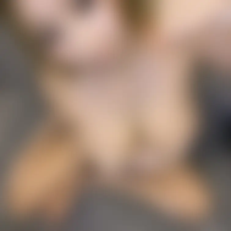 おっぱいの大きいえっちな猫🐈飼ってくれますか？ご奉仕します🫶