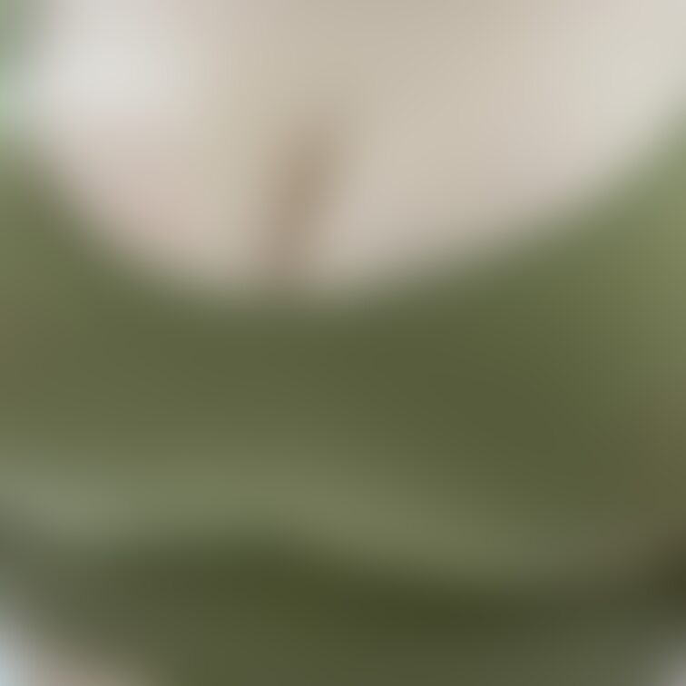 おっぱいおっぱい