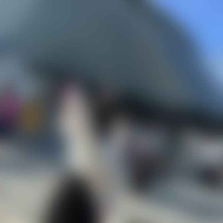 ライブ行った時の
はしゃいでる私が恥ずかしいので有料