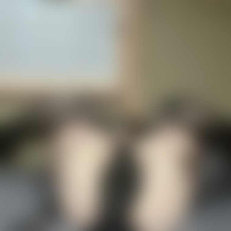 際どいものたち