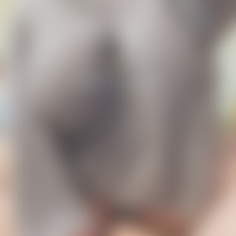 着衣だとこうなる