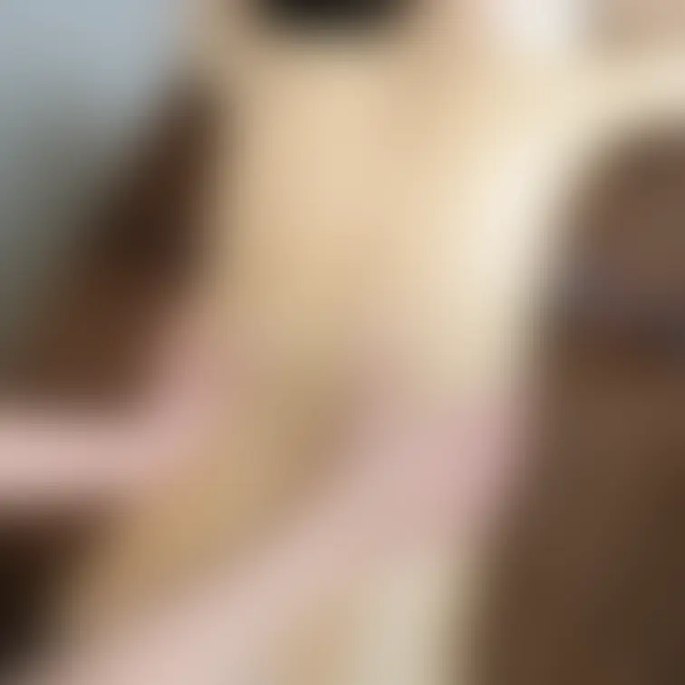 ★いいね👍🏻を押して応援してください★
Relaxation&Spa【猫の手】です。
本日も心を込めて営業中
