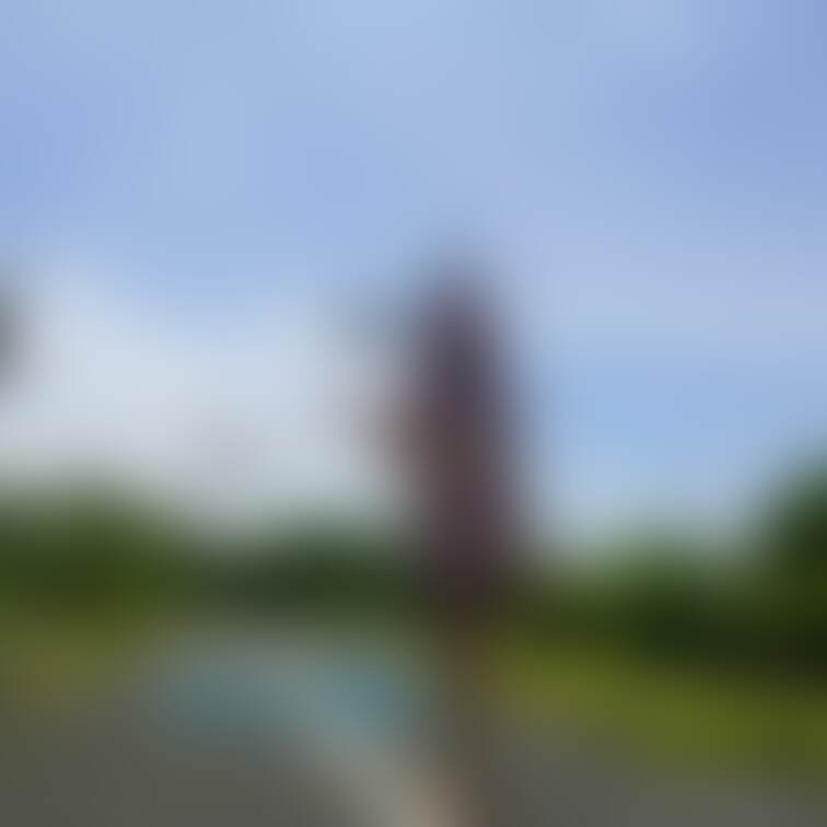 こんなお散歩はいかがですか？