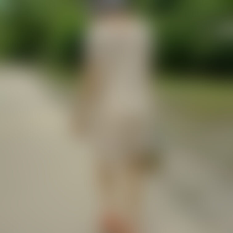 スケスケワンピースからパンティ透けさせ散歩して…
ベンチでパンチラさせるオールスルーのナチュスト履いた不倫にハマる他人