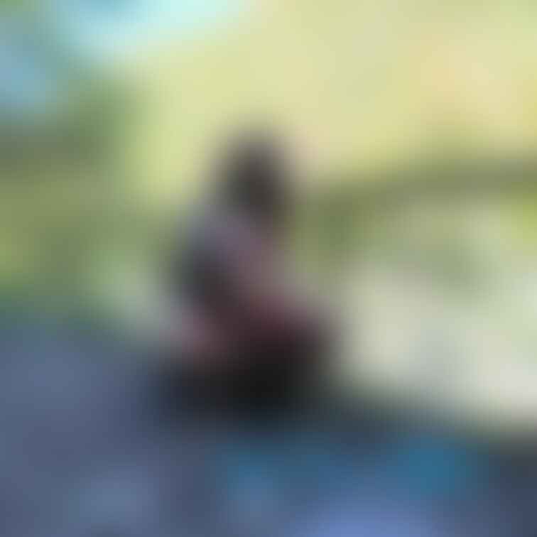 こんなのはどうかな？

首輪とリードは公式アンバサダーさせてもらってるLIebeSeeleさんのこちら↓の物です。