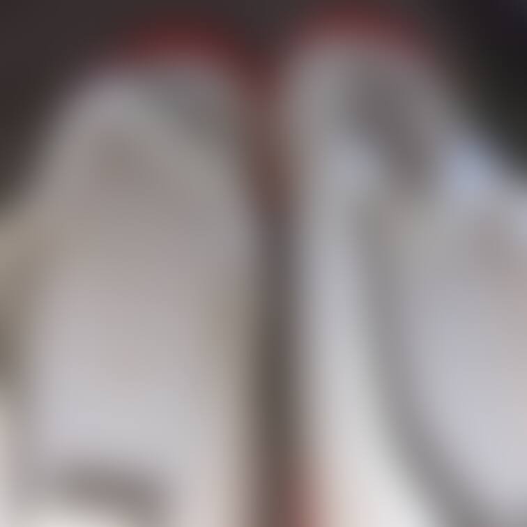 ゾロヒポグリフ🔞【靴ぶっかけ👠💦垢】 有料プレビュー5