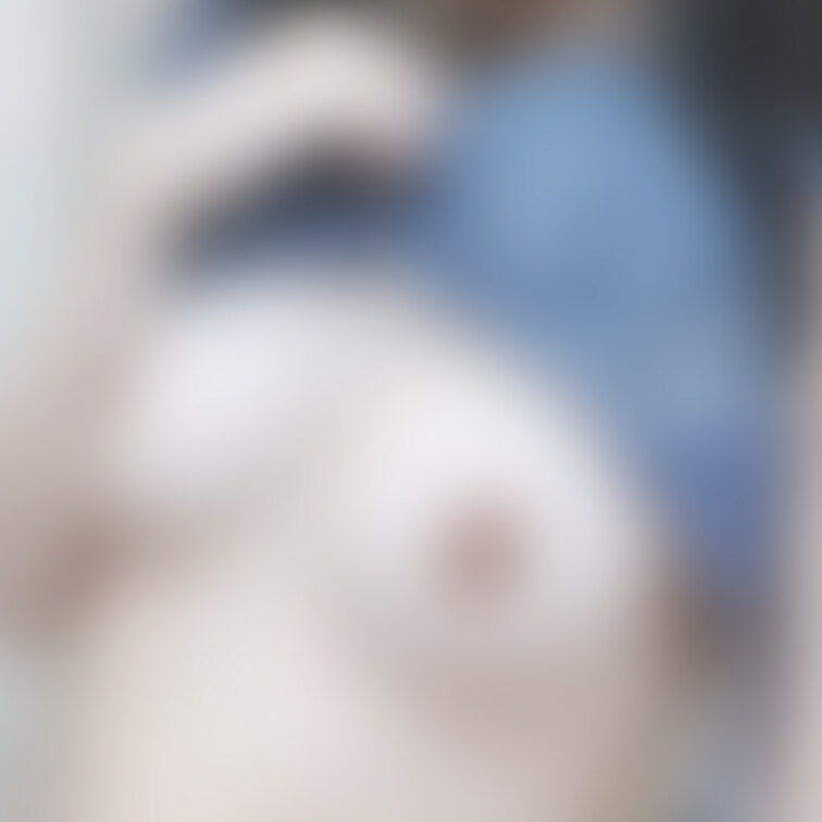見た?👀
