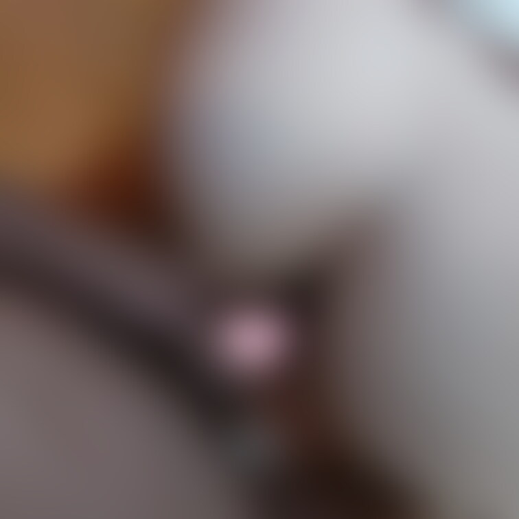 ●Hカップ最高級3Dボディ#7 トナカイになったSakiちゃん(20)と性なる夜に種付け3連発!
https://my