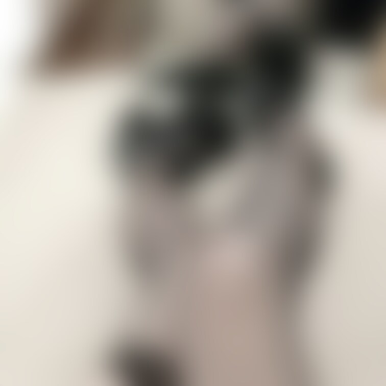 ② 透けレースメイドコス🖤