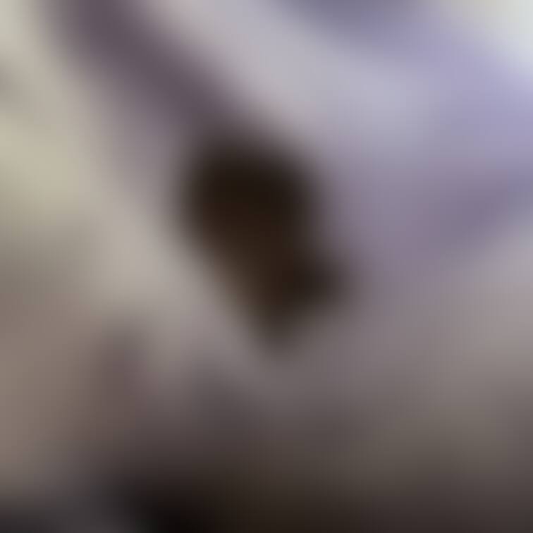 穴あいちゃったから塞がないとだし

痩せたい🥺