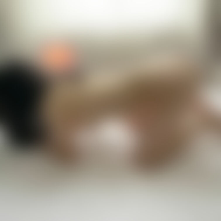 11/26 四つん這いフルヌードお尻の穴丸見え仕上げ写真🍑

【写真】単品ご購入はコチラから👇
https://m