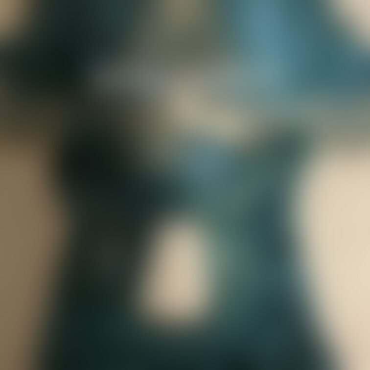 汚れ:★★★★⭐︎
これもフォロワーさんにプレゼント下着😁✨ 喜んでくれたかな🤔