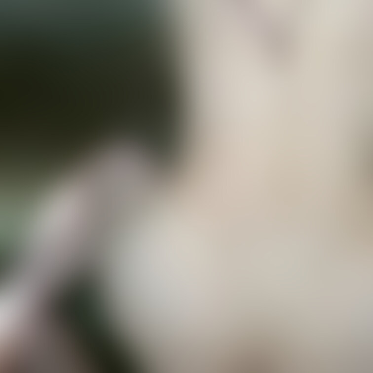 バックの写真です。