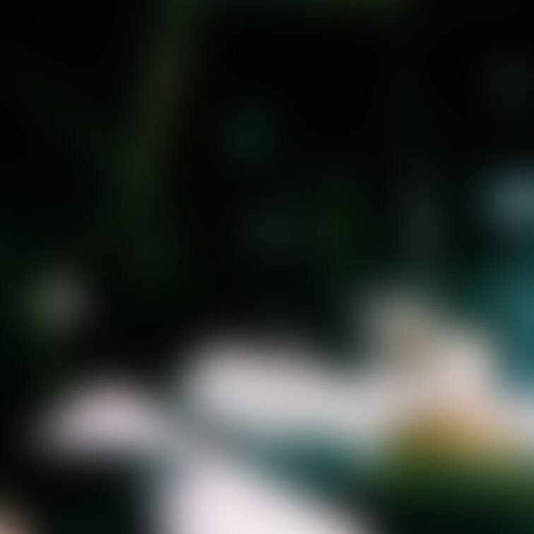封印プランにて全体写真公開中