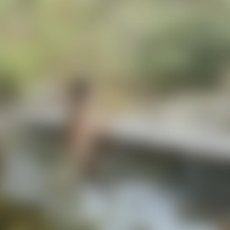 とある混浴☺️
