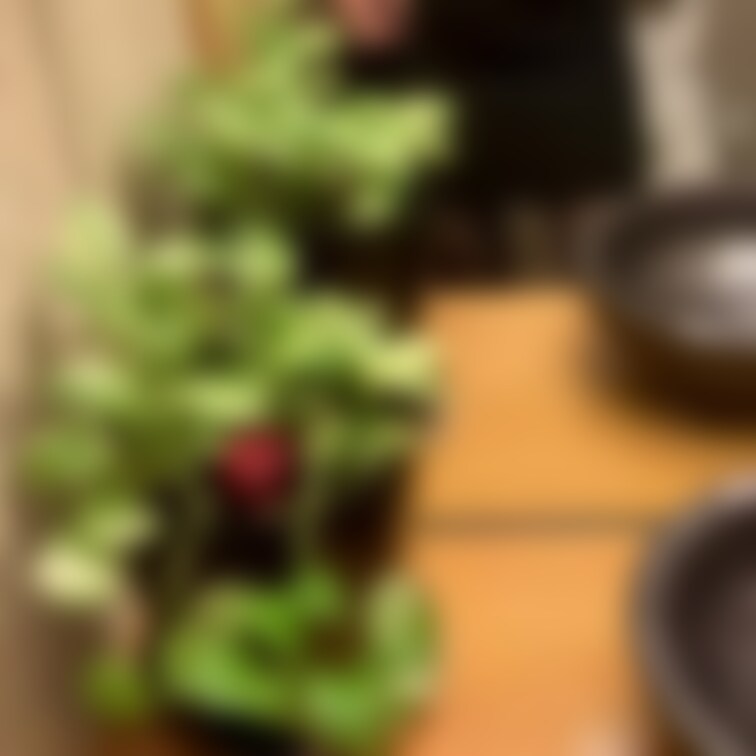 妻の初自撮り　居○○○屋○○○
