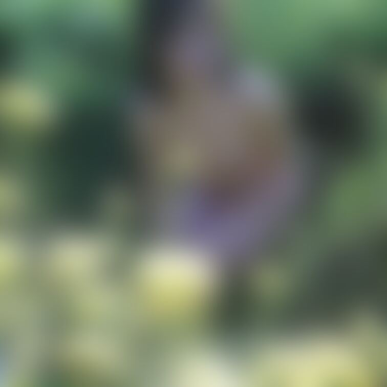 自宅敷地沿いの野生の菜の花