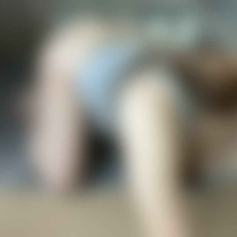 手コキやフェラチオ風の主観自撮りの続き💗💗

Tバック履いてから脱ぐ動画→ https://myfans.jp/po