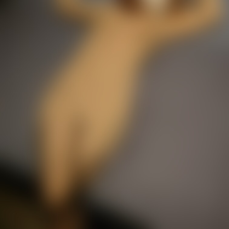 ビデボでのんびり✨