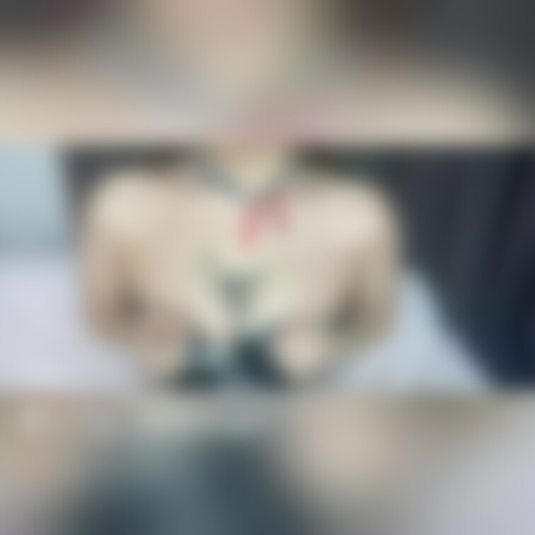 激アツ🔥過去動画再投稿🔥
もこもこコスでふわふわおっぱいいっぱいもみもみ💕︎💕︎

過去の動画を再投稿して欲しいと