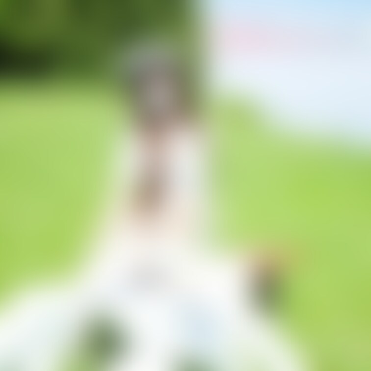 5月16日ArchivePlus