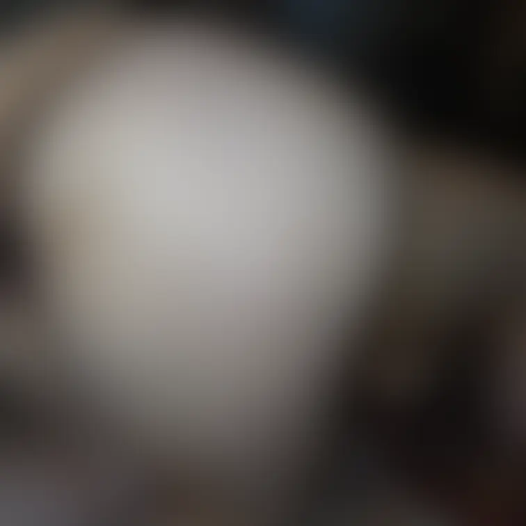 お尻写真３です