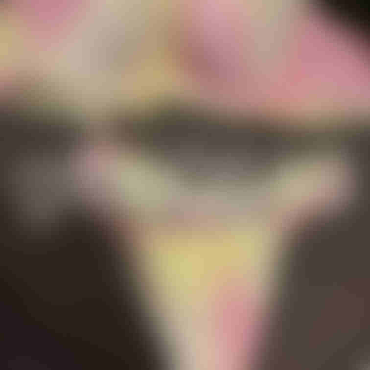義○○○の家から拝借してきた義○○○の下着。

結構過激です。Tバックですね。
