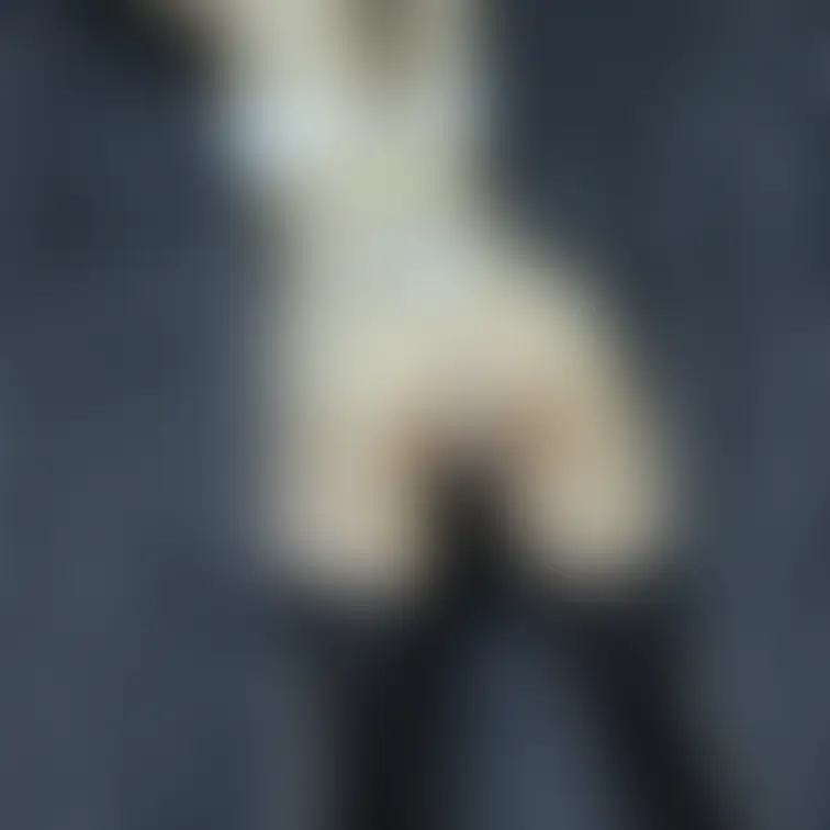 新人素人モデル、モモちゃんのTバックランジェリー&M字開脚&パンチラ