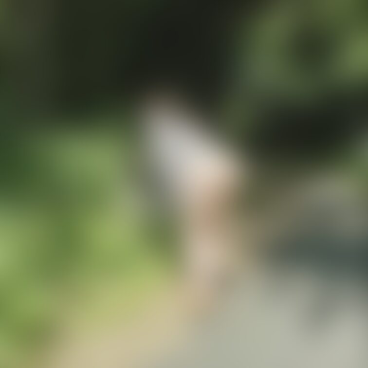 暑いですね😓