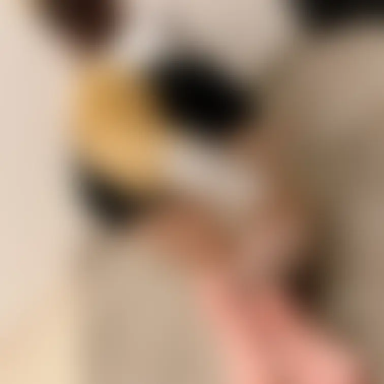 【限定公開👑】きつねさん足③