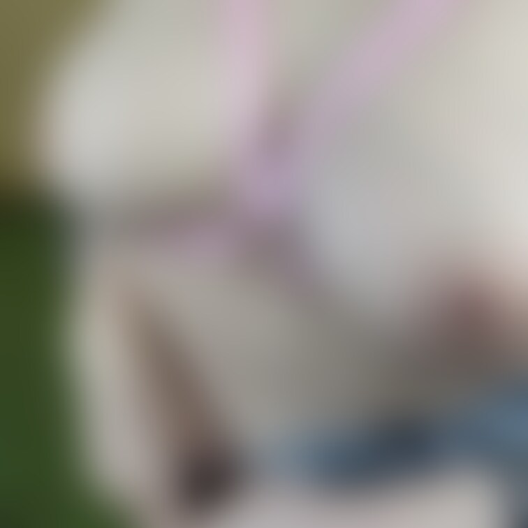 Remiパイ好きですか？